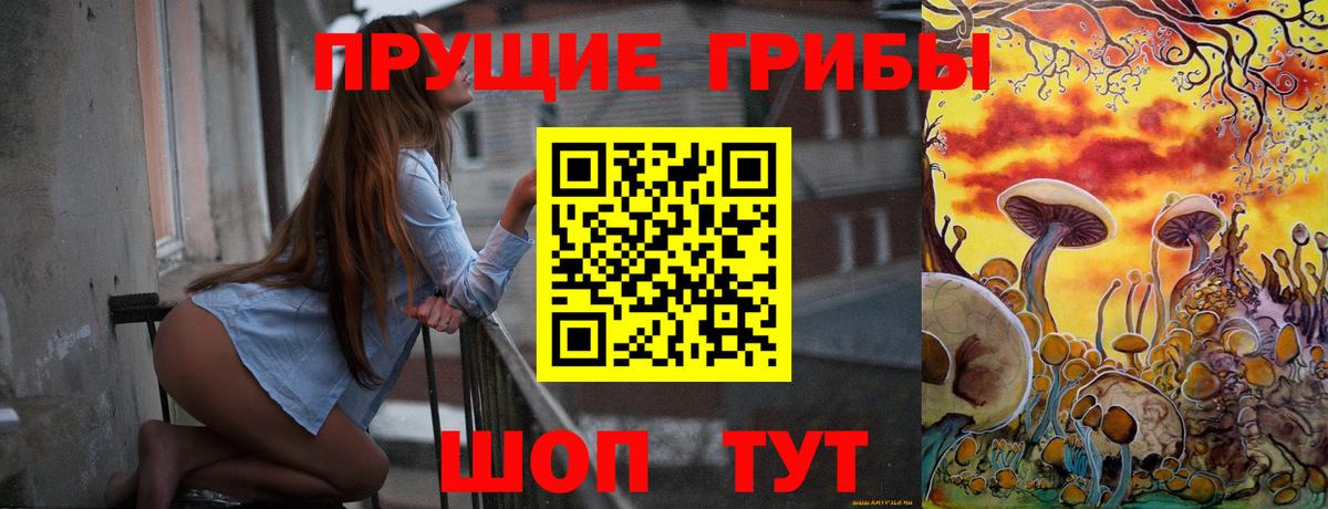 Псилоцибиновые грибы Psilocybine cubensis  Вход с VPN  Саров 