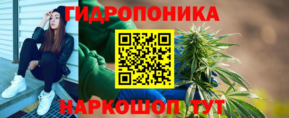 Бошки Шишки MAZAR Саров